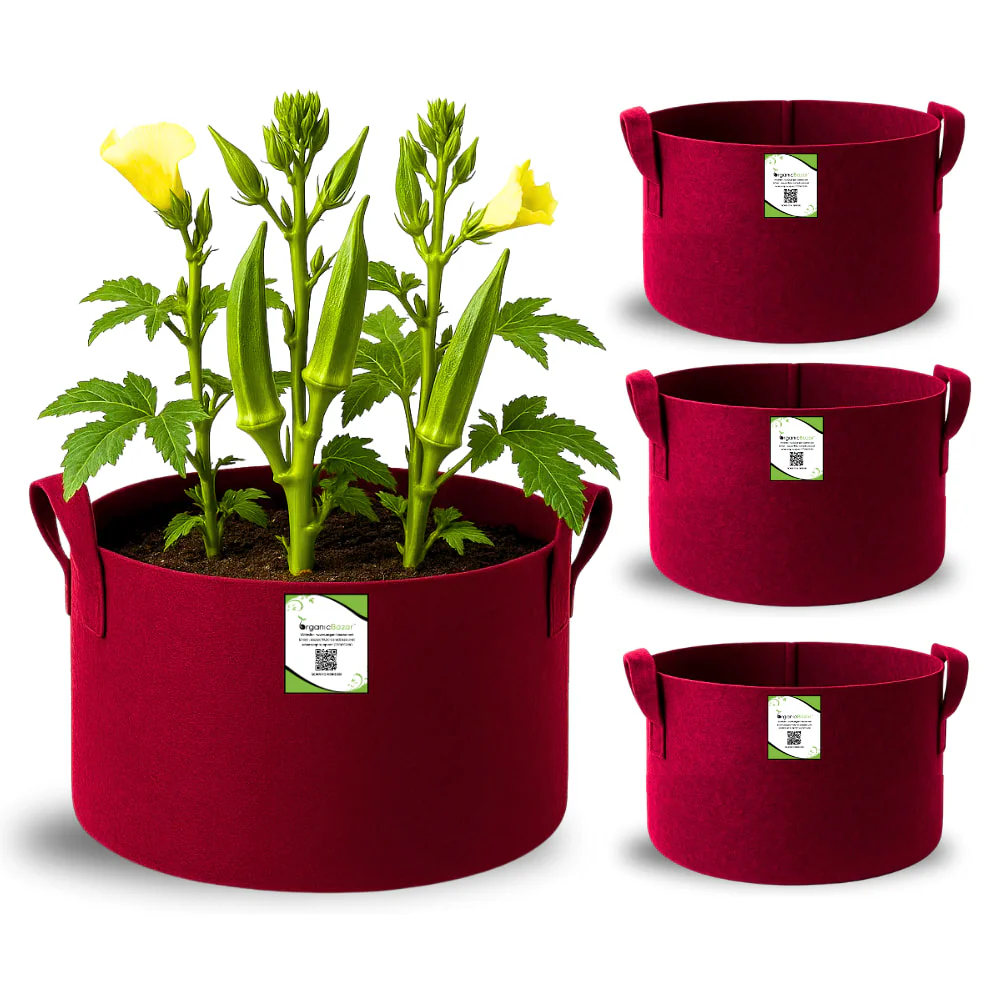 OrganicBazar 15X12 Geo Fabric Grow Bags for Terrace Garden - Image 6