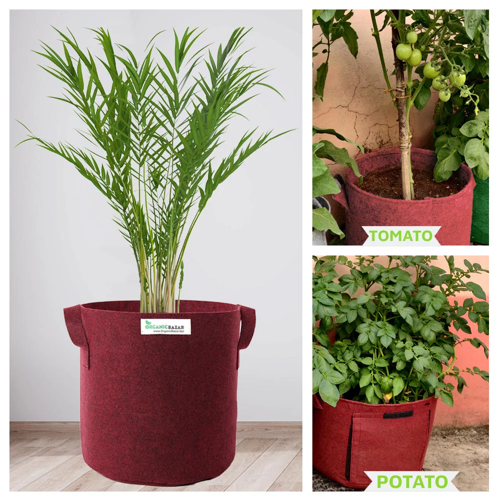 Premium 15x18 Geo Fabric Grow Bags For Terrace Gardening - Image 2