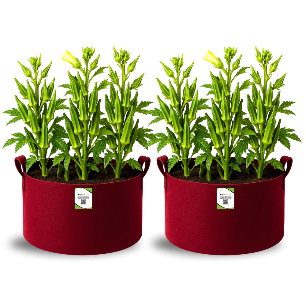 Premium 18X12 Geo Fabric Grow Bags For Home Garden - Image 3