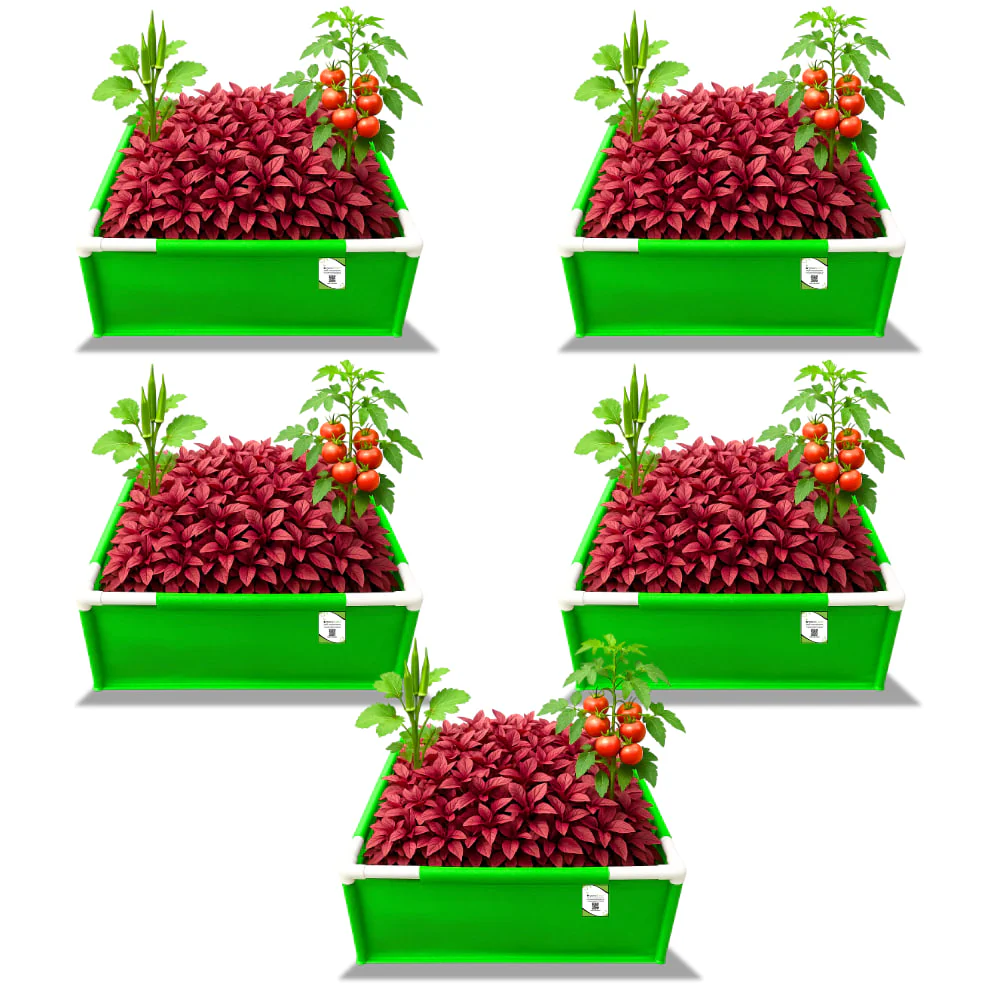 OrganicBazar 24x18x12 Rectangular Grow Bags with PVC Support Pipes for Terrace Garden - Image 4
