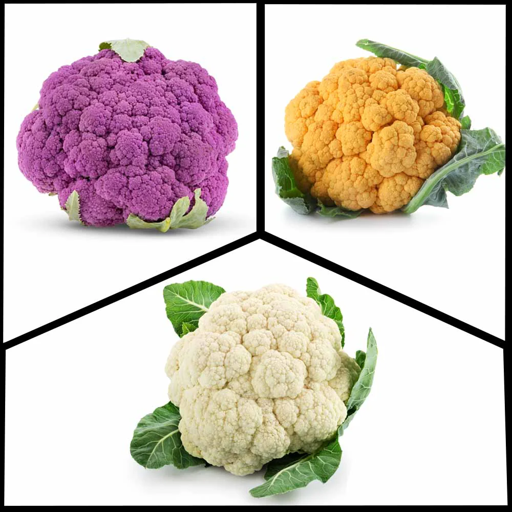 3-Different Varieties Cauliflower Seeds Combo Pack - Image 3