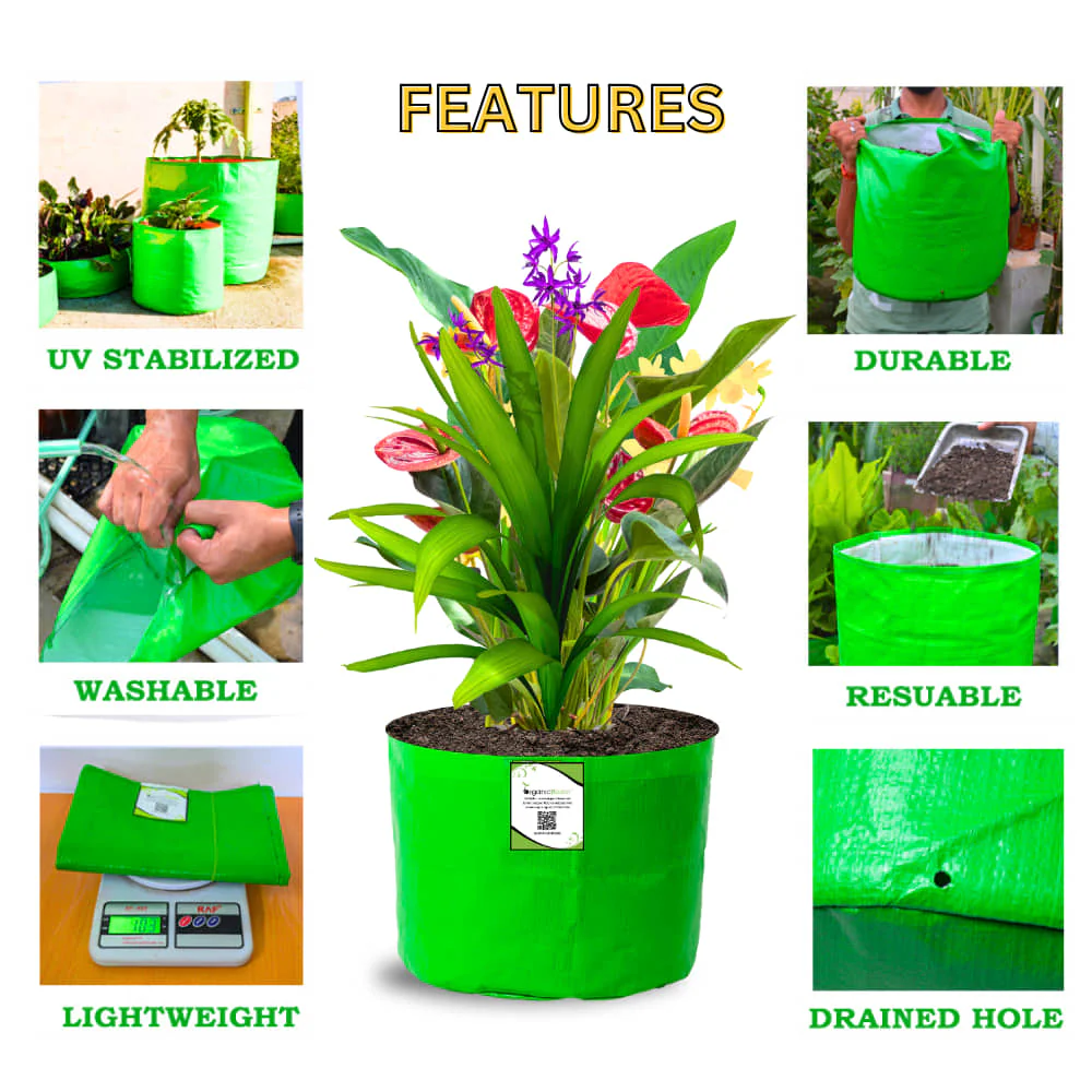 OrganicBazar 9x6 Small Grow Bag for Terrace Garden, Premium HDPE 260 GSM, Green Plant Bags - Image 3