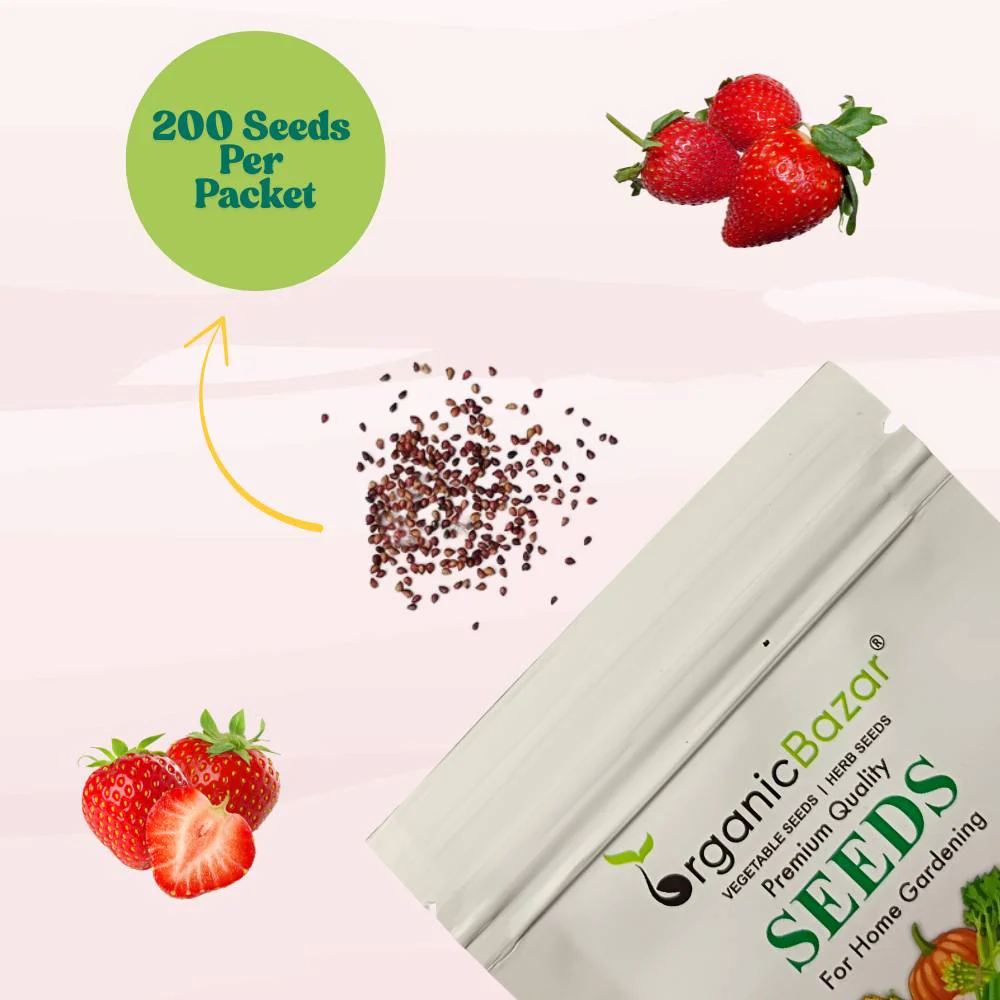 Alpine Strawberries Seeds - 200 Seeds (अल्पाइन स्ट्रॉबेरी के बीज) High Germination/Grow Juicy Strawberries at Home - Image 9
