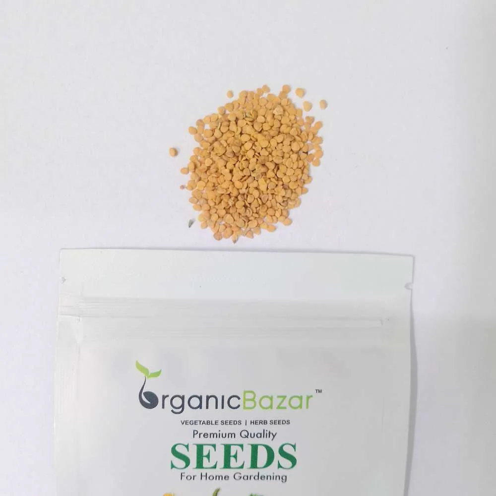 Ashwagandha Seeds - 500 Seeds (अश्वगंधा के बीज) High Germination Rate, Herbal Plant - Image 2