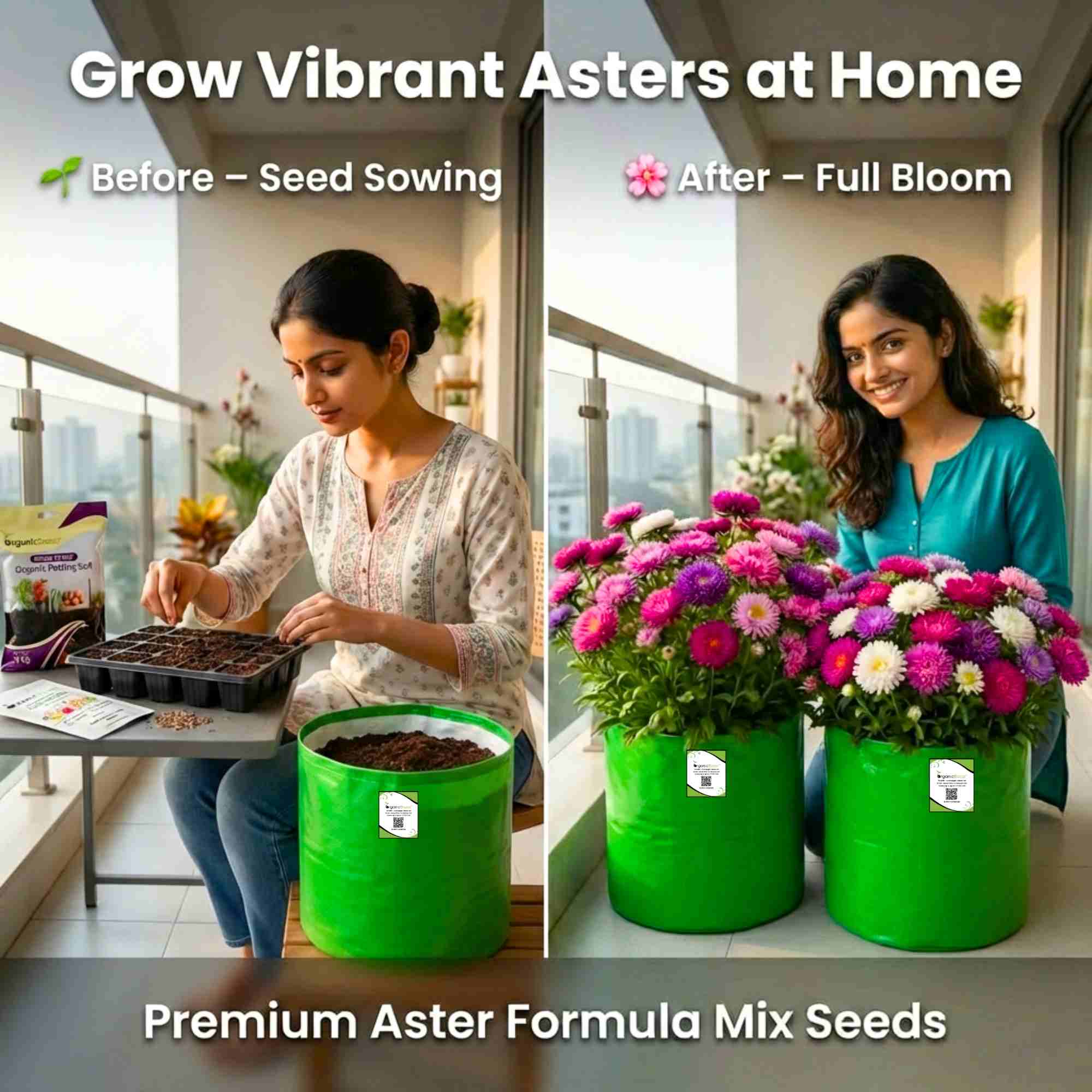 Aster Formula Mix Seeds (100 Seeds) High Germination/Easy To grow/ Perfect for pots, balconies, or Terrace gardens - Image 2