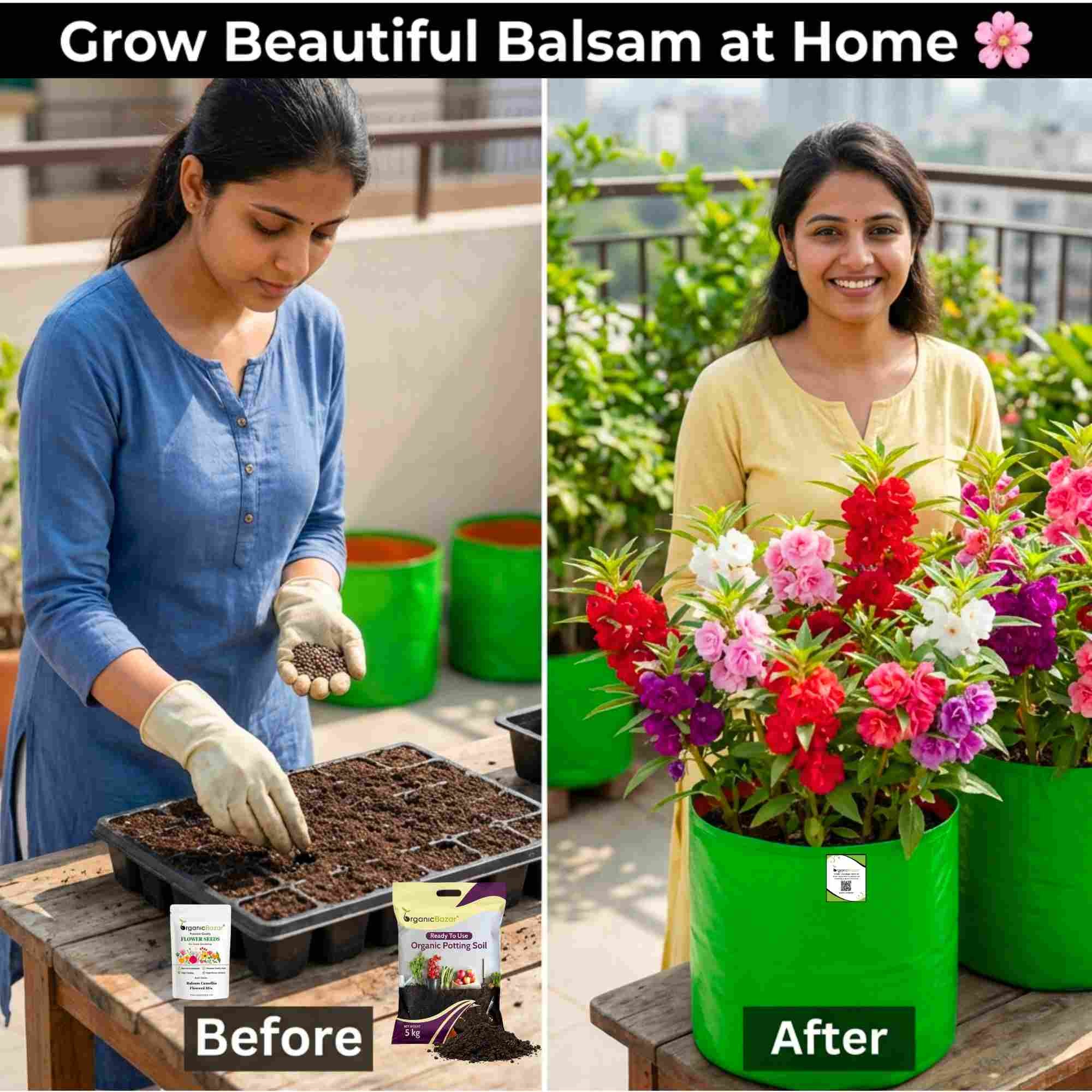 Balsam Camellia Flowered Mix Seeds - 100 Seeds (Gulmehndi/गुलमेहंदी के बीज) High Germination/ Easy to grow/Colorful Flower Seeds for Balcony & Terrace Garden - Image 2