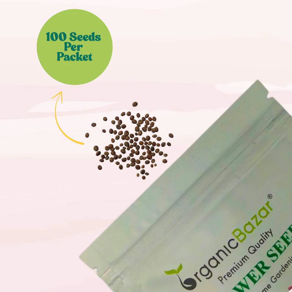 Balsam Camellia Flowered Mix Seeds - 100 Seeds (Gulmehndi/गुलमेहंदी के बीज) High Germination/ Easy to grow/Colorful Flower Seeds for Balcony & Terrace Garden - Image 6
