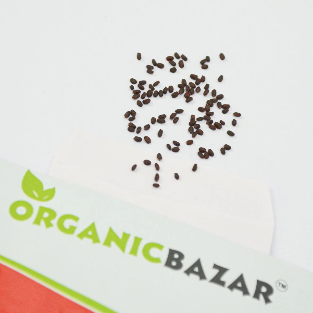 Basil Genovese Green Seeds (Tulsi/तुलसी के बीज) - Image 2