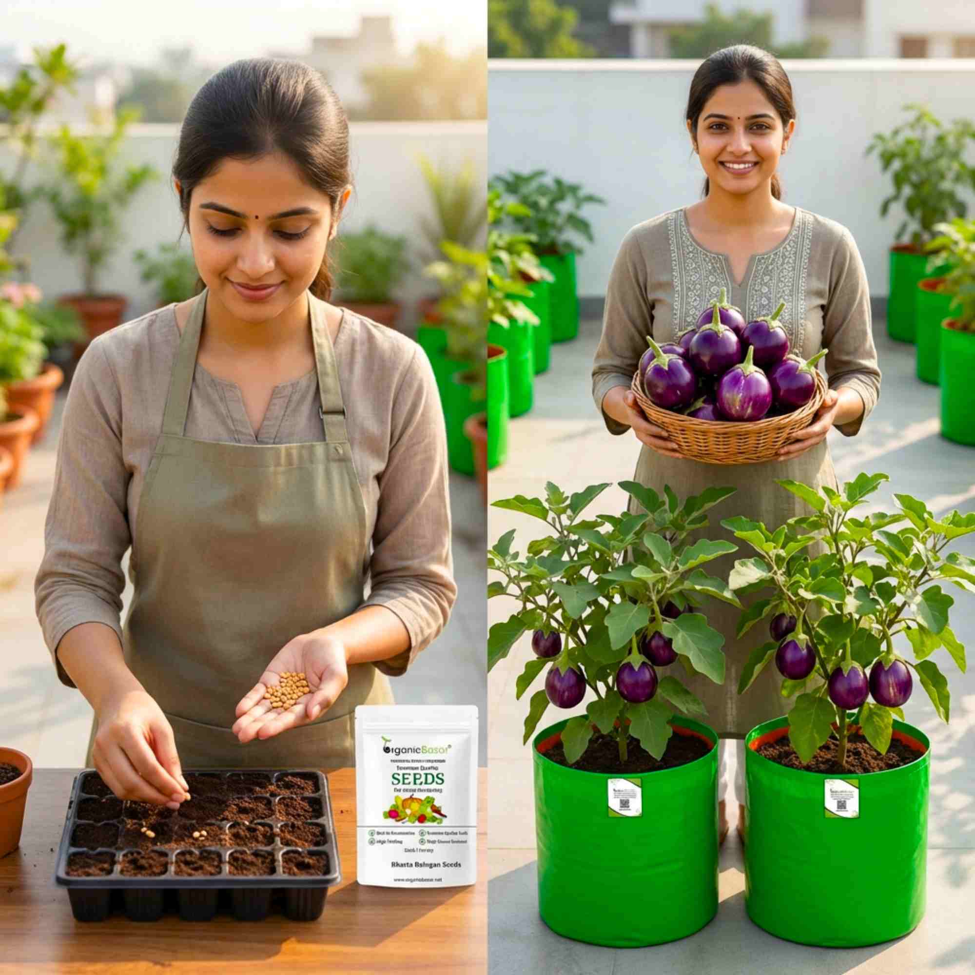 Bharta baingan Seeds - 50 Seeds) High Germination/ High Yield / Ideal for Terrace/Kitchen Gardening (Brinjal/Eggplant/बैंगन के बीज) - Image 2