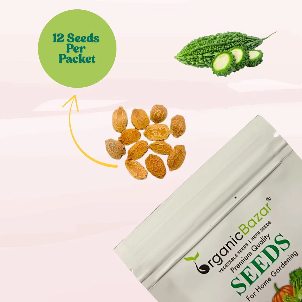 Bitter Gourd Chu-Chu Seeds - 12 Seeds (Karela/ करेला के बीज) Easy To grow, High Germination, High Yield Karela Seeds for Home Gardening - Image 2