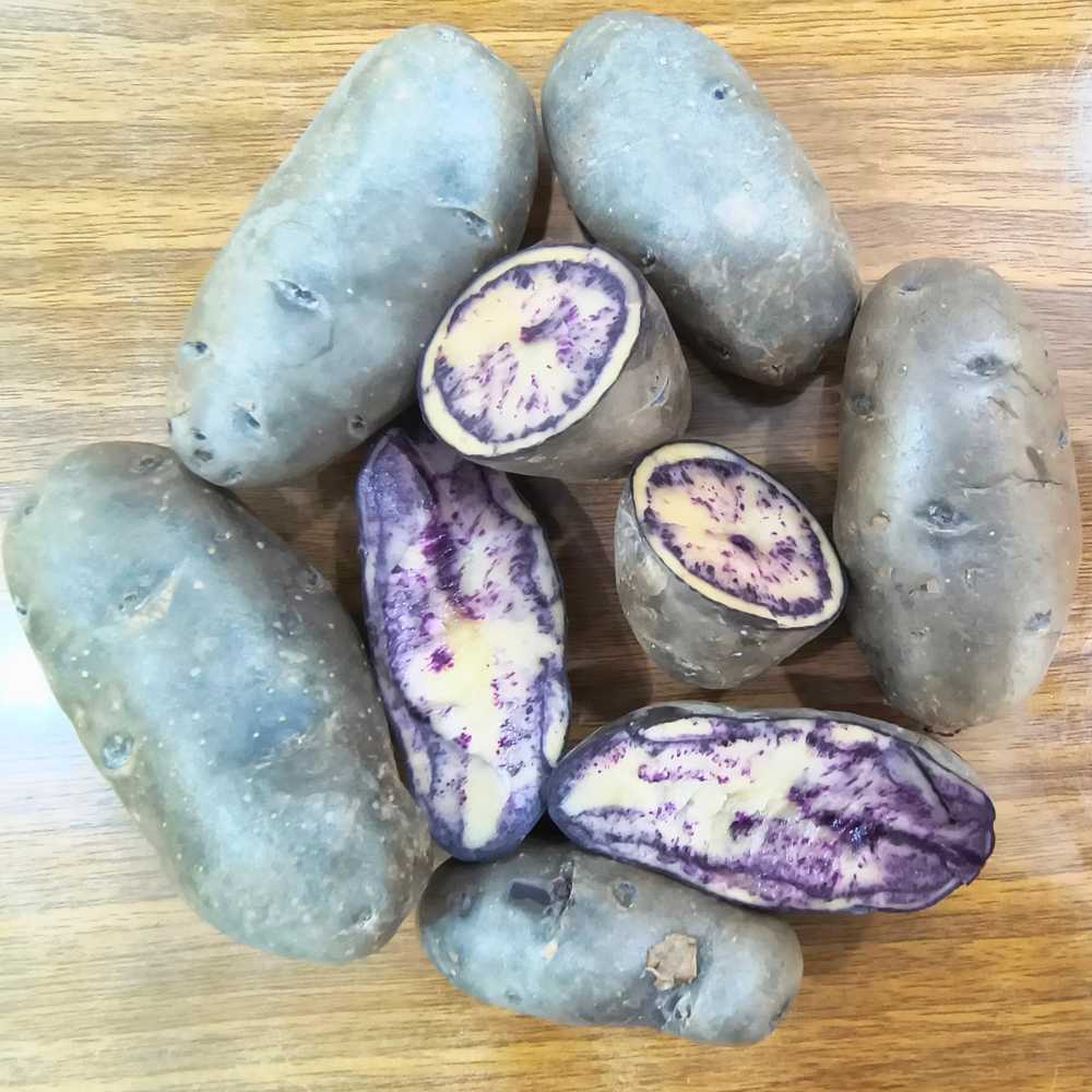 Black Potato Seeds For Kitchen/Terrace Gardening (900g) - Image 3