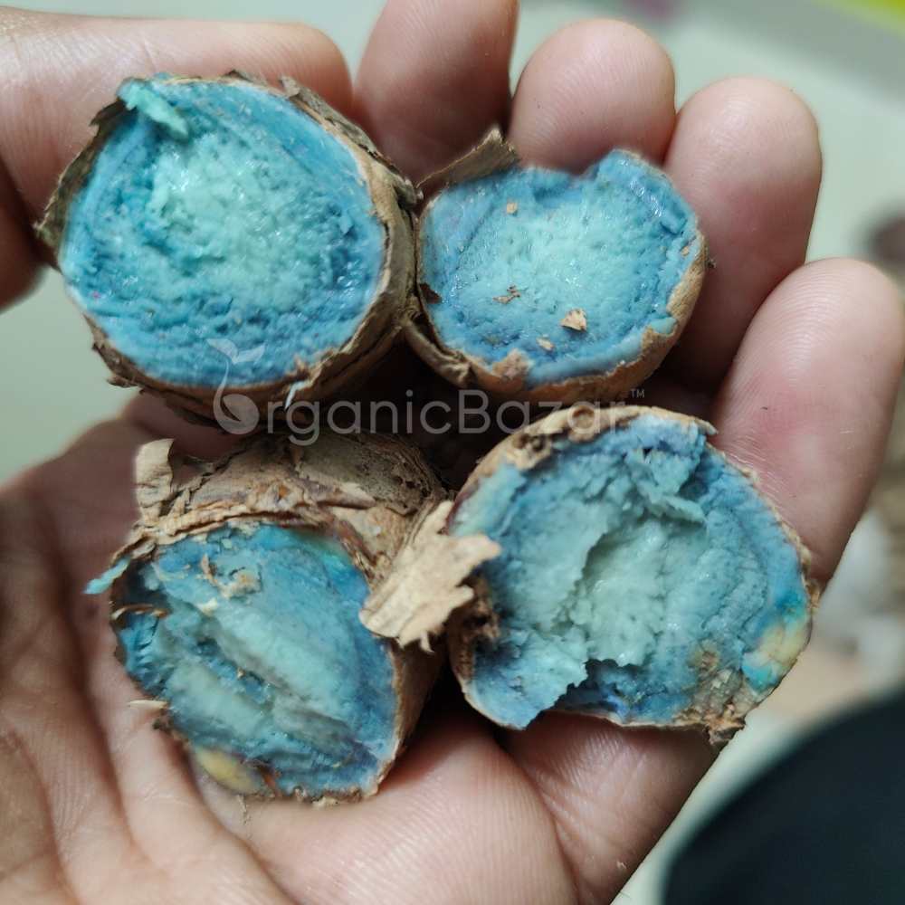 Original Black Turmeric (Kali Haldi ke beej) For Planting (400g) - Image 4