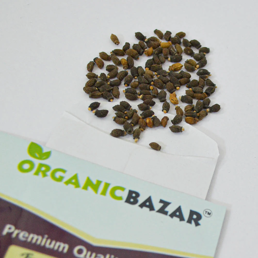 Borage Seeds (50 Seeds) Premium Quality for Home Gardening - Image 3