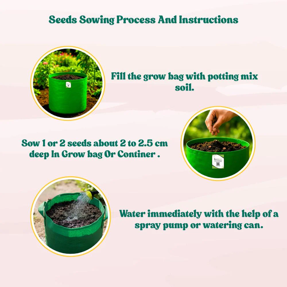 Bottle Gourd Round Seeds - 12 Seeds (गोल लौकी के बीज) Easy To grow, High Germination, High Yield, Perfect Seeds for Terrace gardening - Image 6