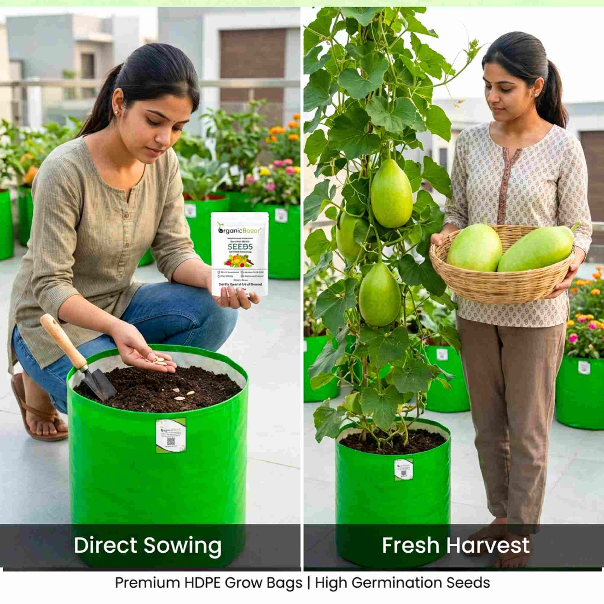 Bottle Gourd (Lauki / Ghiya) Oval Round Seeds - 12 Seeds (गोल लौकी के बीज) Easy To grow, High Germination, High Yield, Perfect Seeds for Terrace gardening - Image 4