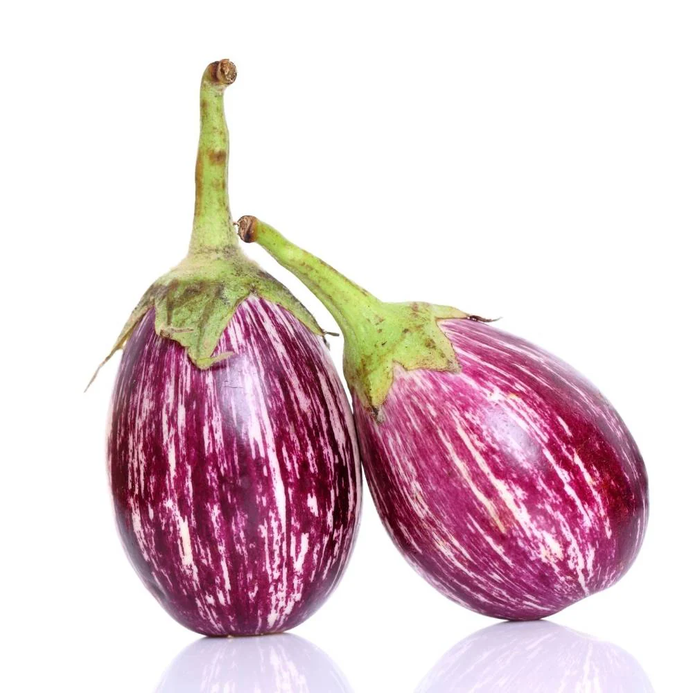 Brinjal Oval Purple With White Strips Seeds - 50 Seeds) High Germination/ High Yield / Ideal for Terrace/Kitchen Gardening (Baingan/Eggplant/बैंगन के बीज) - Image 2