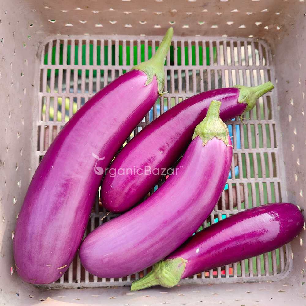 Brinjal Pink Medium Long Seeds - (50 Seeds) High Germination/ High Yield / Ideal for Terrace/Kitchen Gardening (Pink Baingan/Eggplant/गुलाबी बैंगन के बीज) - Image 3