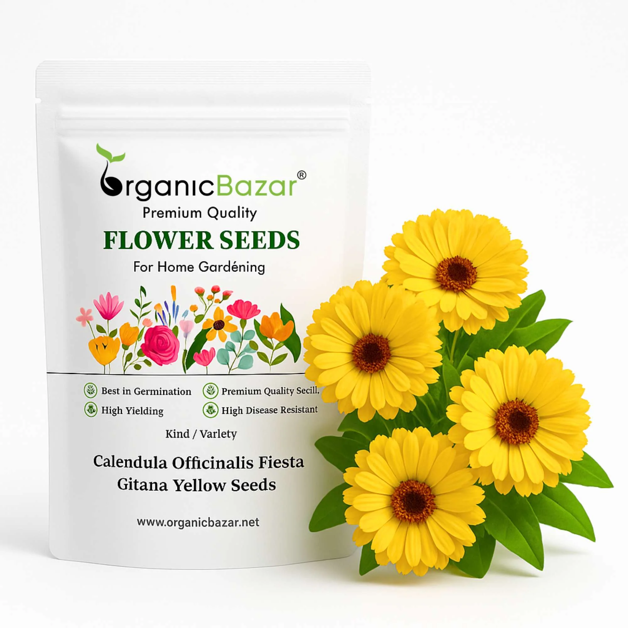 Calendula Officinalis Fiesta Gitana Yellow Seeds - 100 Seeds (Pot marigold/पॉट मैरीगोल्ड के बीज) High germination/Easy To grow/ Perfect for pots, balconies, or Terrace gardens