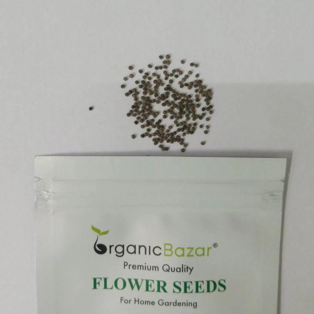 California Poppy Mix Seeds - 200 Seeds (Khus Khus/Posta/पोस्ता के फूल) - Image 3