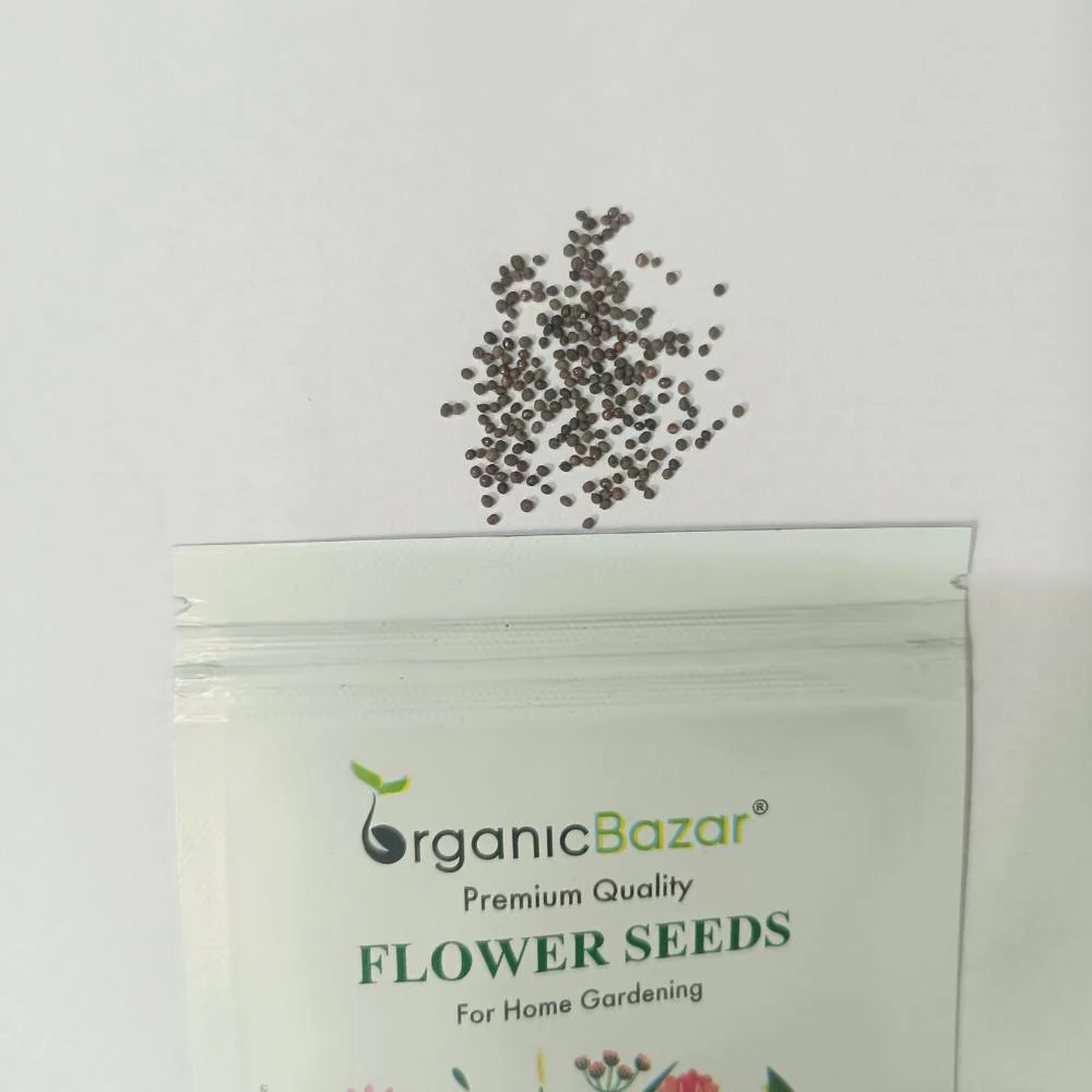 California Poppy White Seeds - 200 Seeds (Khus Khus/Posta/पोस्ता के फूल) - Image 3