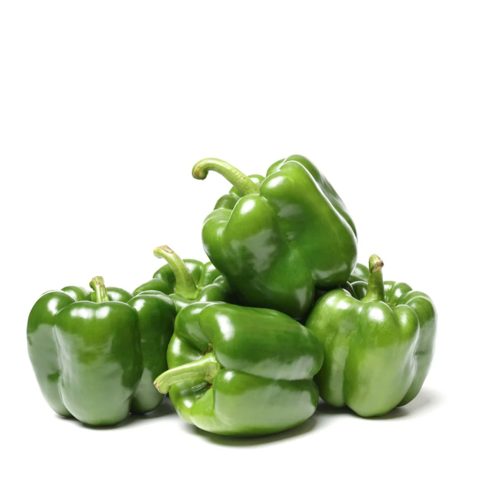 Capsicum (Shimla Mirch) Imported Seeds - (20 Seeds) High Yield | High Germination | Best for Home Gardens (शिमला मिर्च के बीज) - Image 2