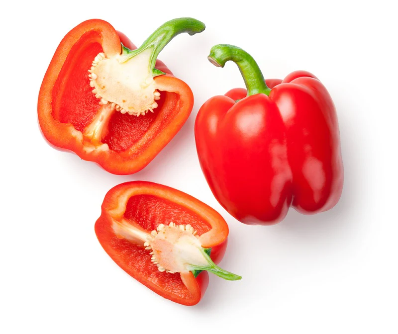 Capsicum Red ( Lal Shimla Mirch) Seeds - (30 Seeds) High Yield | High Germination | Best for Home Gardens ( लाल शिमला मिर्च के बीज) - Image 3