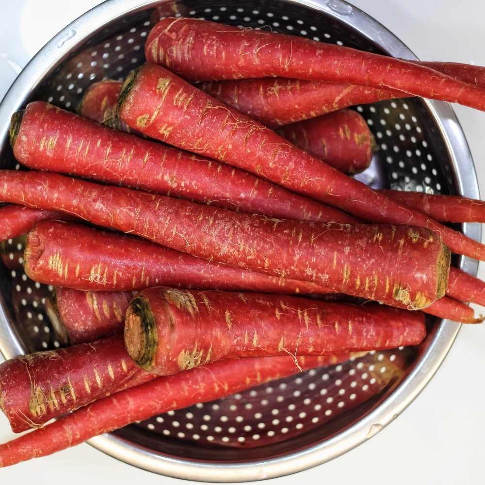 Carrot Red Seeds - 1000 Seeds (Laal Gajar/लाल गाजर के बीज) - Image 2