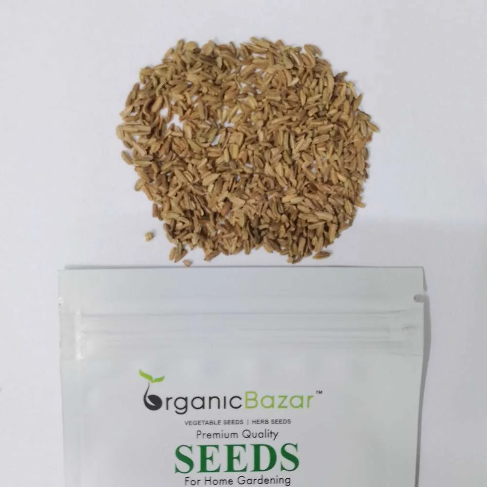 Carrot Red Seeds - 1000 Seeds (Laal Gajar/लाल गाजर के बीज) - Image 3