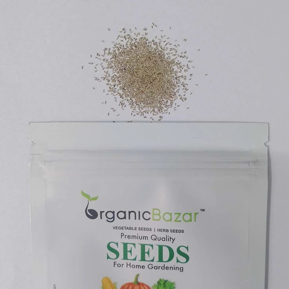 Chamomile German Seeds - 1000 Seeds (कैमोमाइल के बीज) - Image 3
