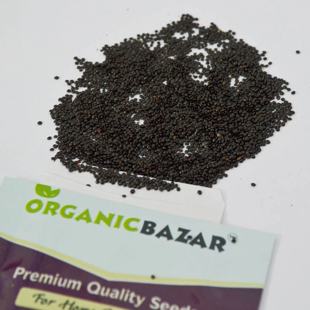 Chaulai Green Amaranth (Hari bhaji) Seeds - 5g (चौलाई भाजी के बीज) - Image 4