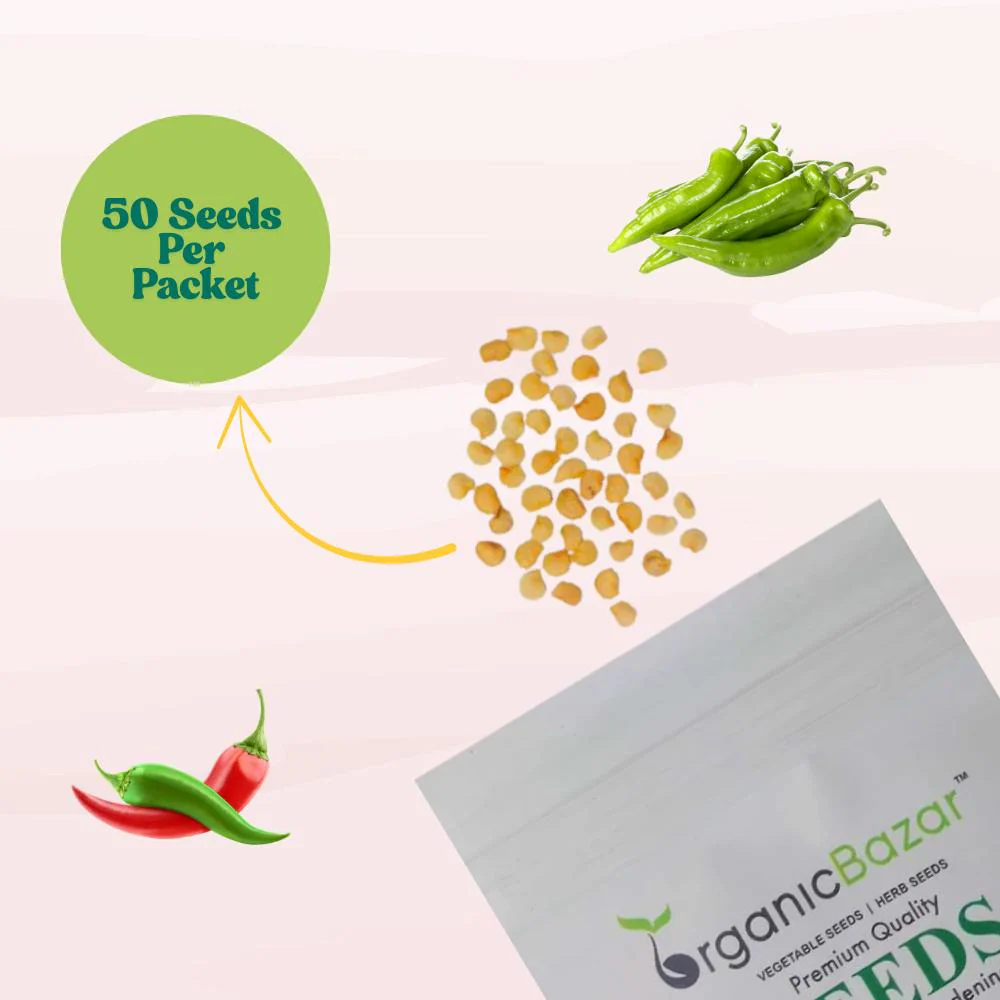 Chilli F-1 Hybrid Seeds (Mirch) Seeds - (50 Seeds) High Yield | High Germination | Best for Home Gardens (मिर्च के बीज) - Image 3