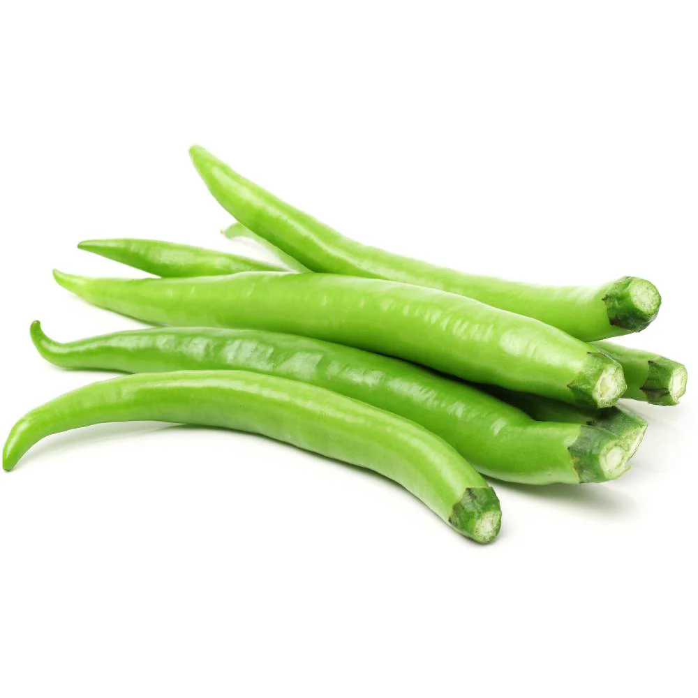 Chilli Green Thick And Long Seeds - (50 Seeds) High Yield | High Germination | Best for Home Gardens (मिर्च के बीज) - Image 2