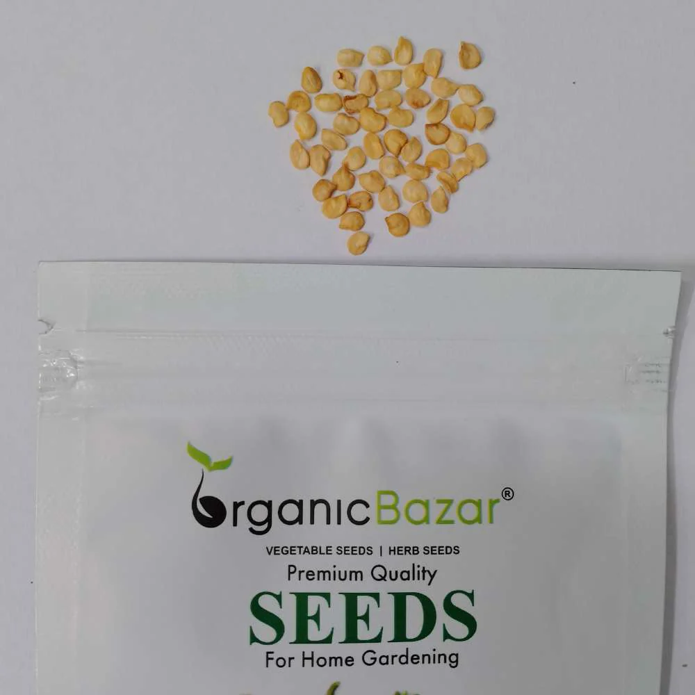 Chilli Hot Pepper F1 Hybrid Seeds - 50 Seeds (Mirch/ मिर्च के बीज) - Image 2