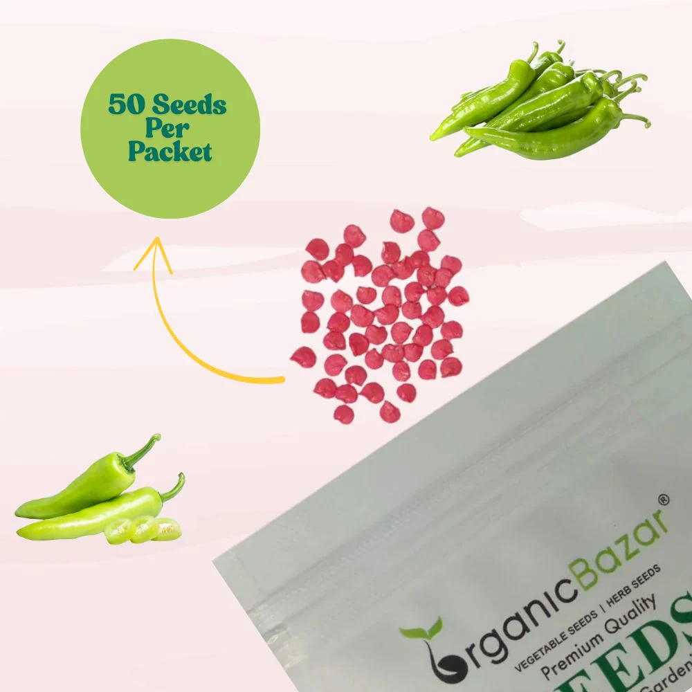 Chilli Light Green (Medium Spicy) Seeds - (50 Seeds) High Yield | High Germination | Best for Home Gardens (मिर्च के बीज) - Image 3