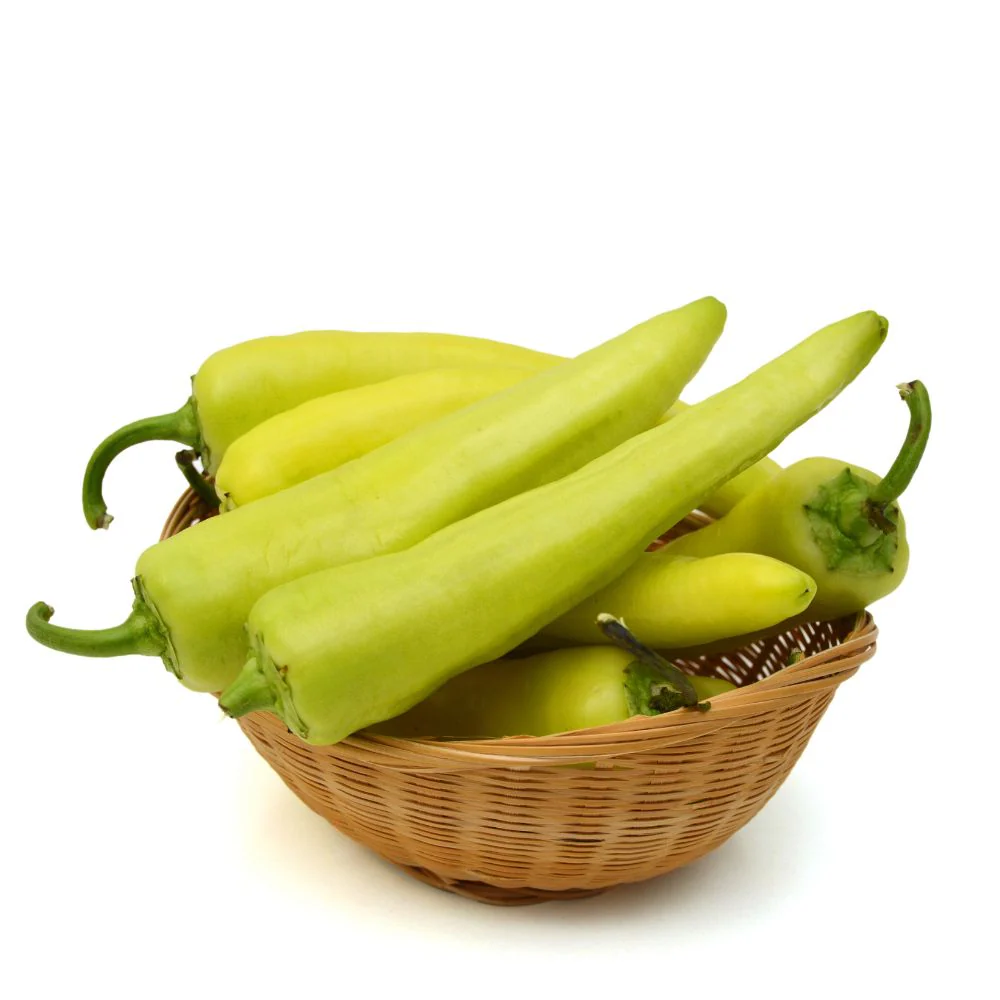 Chilli Yellowish Light Green (Thick wall fruits) F1 Hybrid Seeds - 10 Seeds (Mirch/ मिर्च के बीज)
