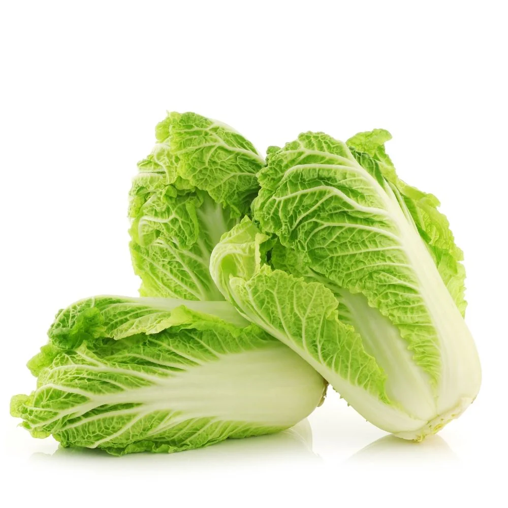 Chinese Cabbage Seeds - 150 Seeds (Chinese Patta Gobhi/चीनी पत्ता गोभी के बीज) High Germination / Easy to Grow / Ideal for Terrace/Kitchen Gardening - Image 2