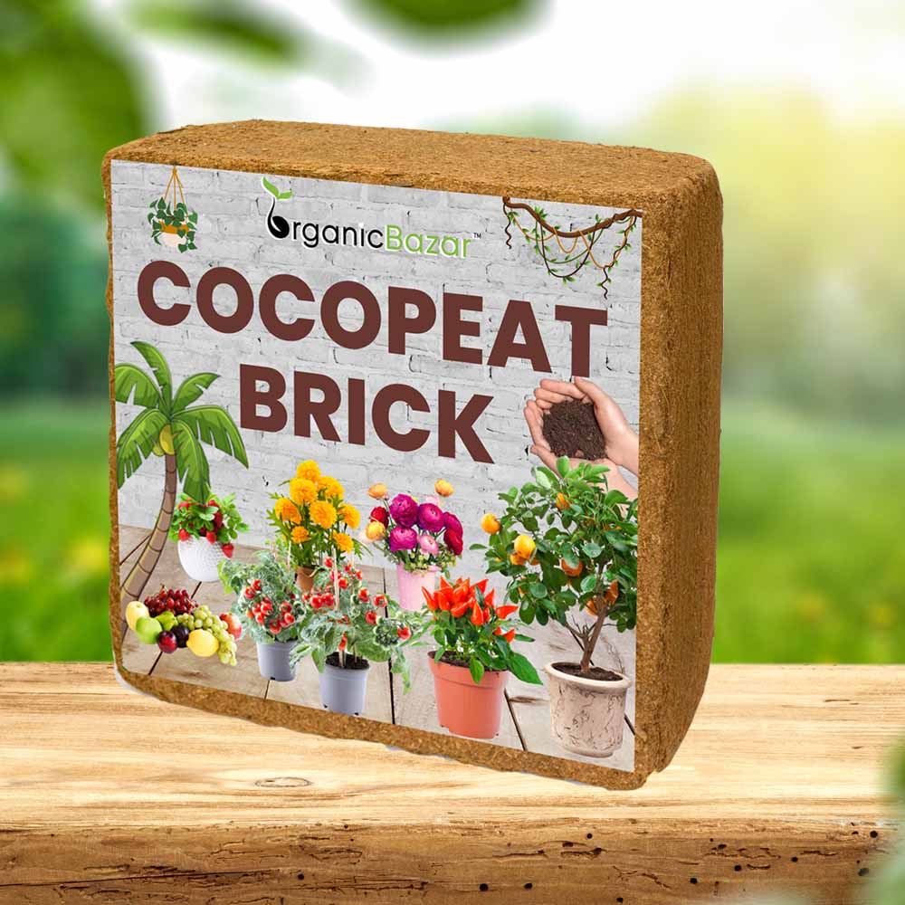 Cocopeat 1 kg Block – Organic Growing Medium for Kitchen Garden & Terrace Gardening - Image 4