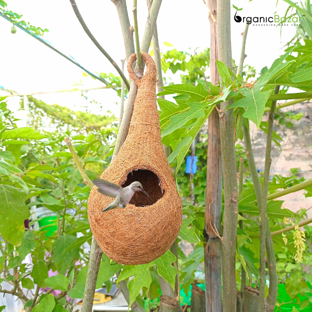 Coir Fibre Bird Nest for Garden - Image 3