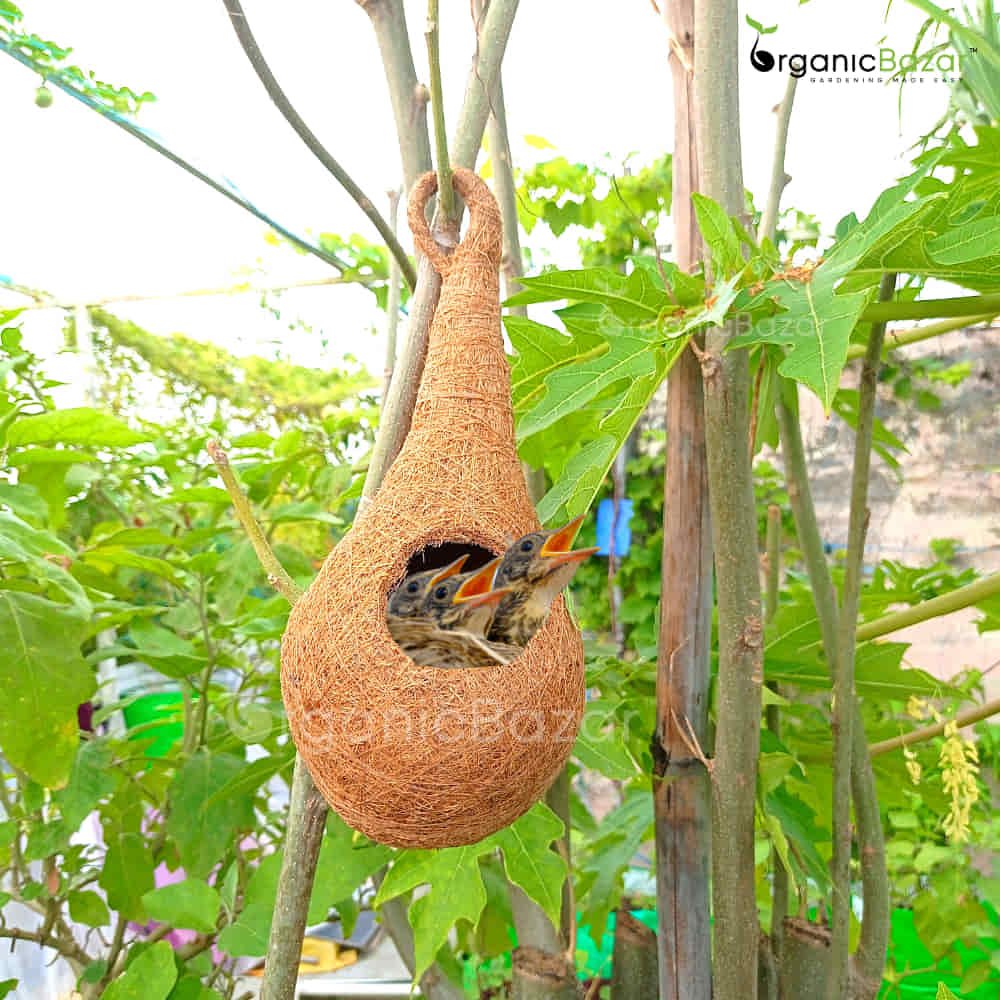 Coir Fibre Bird Nest for Garden - Image 4