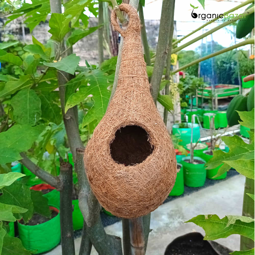 Coir Fibre Bird Nest for Garden - Image 5