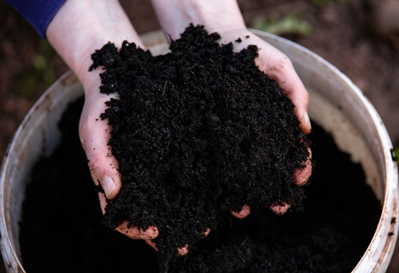 Cow Dung Manure Fertilizers for Plants (2kg) - Image 3