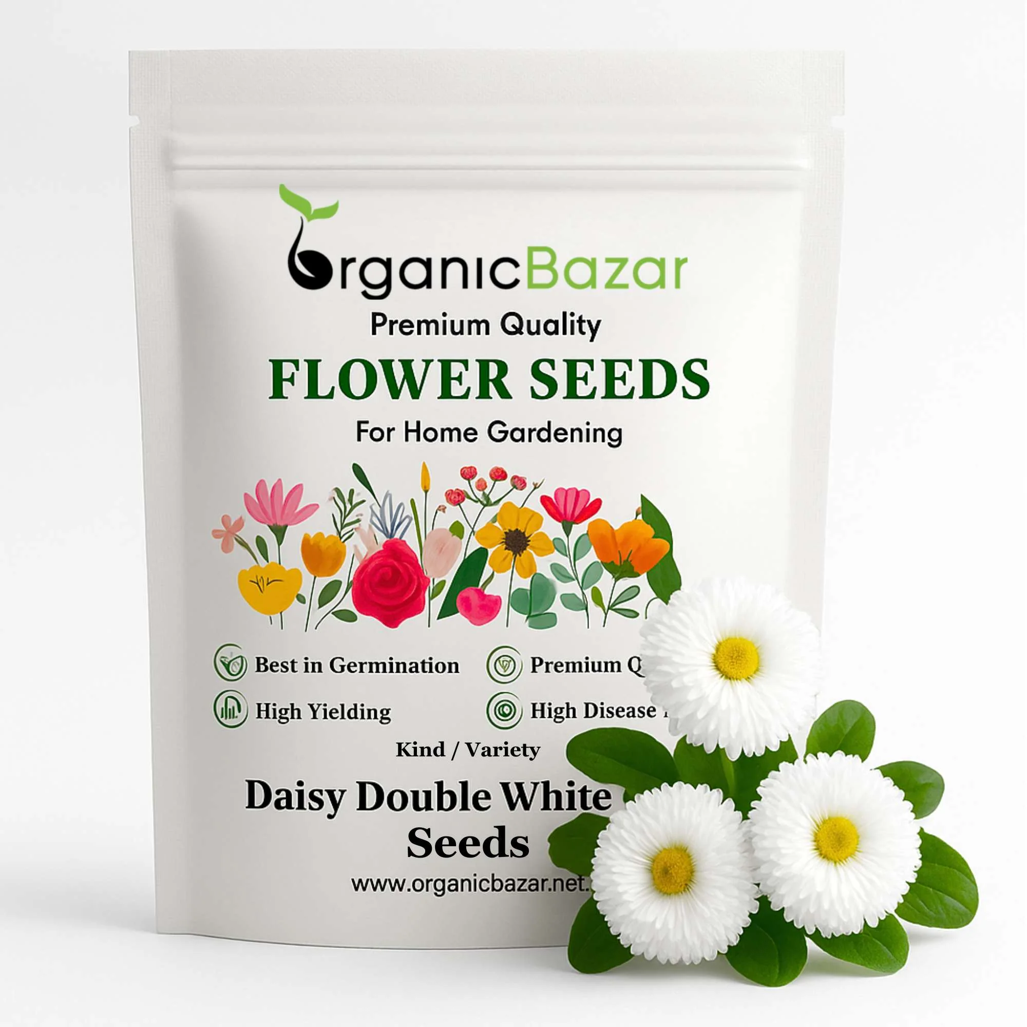 Daisy Double White Seeds - 300 Seeds (Gulbahar/गुलबहार का बीज) Easy To Grow, High Germination, Perfect for pots, balconies, or Terrace gardens