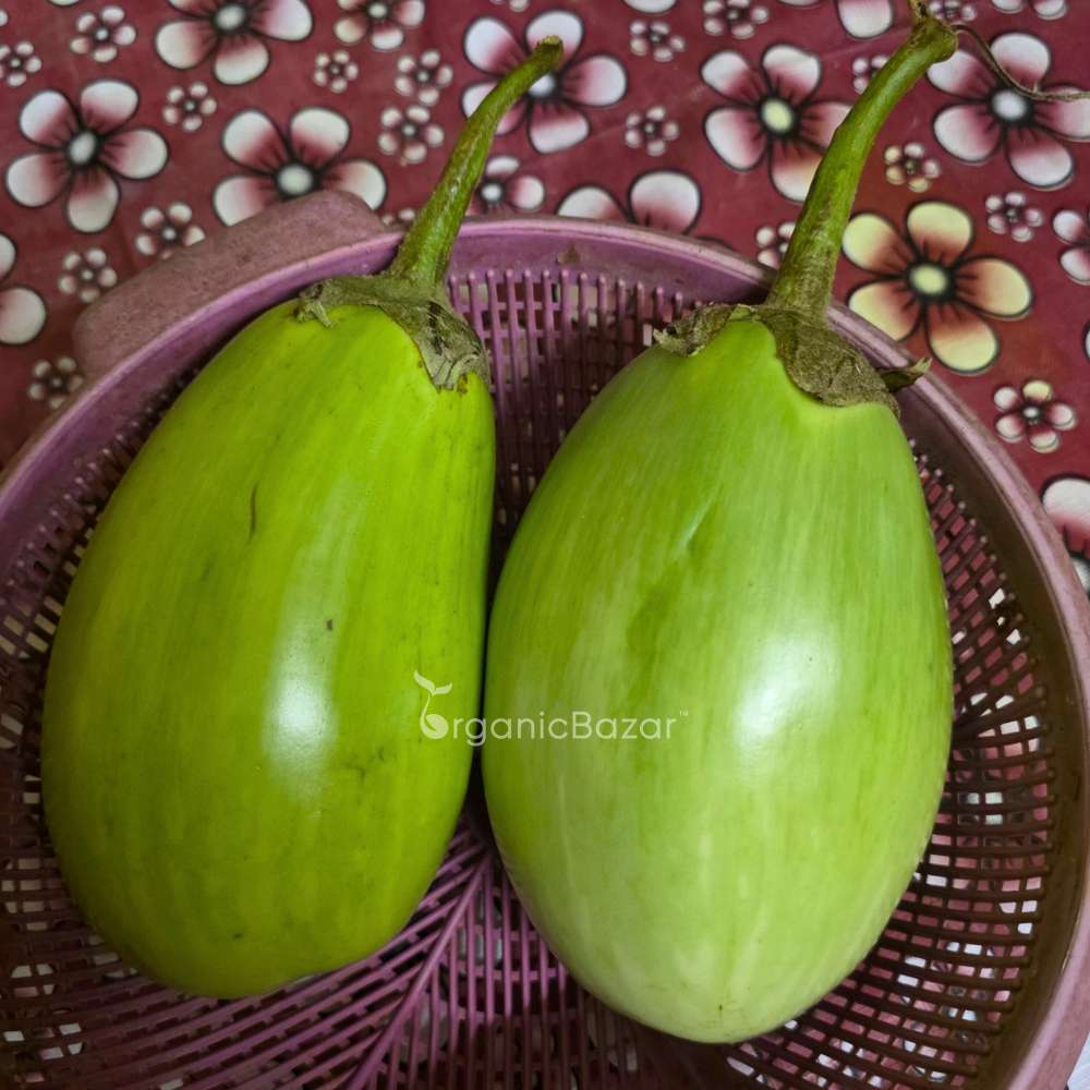 Desi Green Bharta Baingan (Op) Seeds - (20 Seeds) High Germination/ High Yield / Ideal for Terrace/Kitchen Gardening (Brinjal/Eggplant/बैंगन के बीज) - Image 2