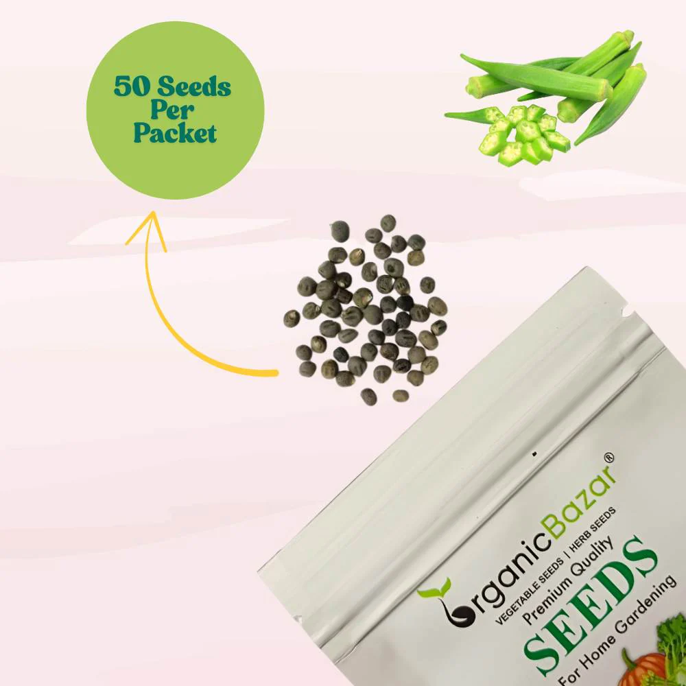 Desi Okra Seeds - 50 Seeds (Desi bhindi/देशी भिन्डी के बीज) Easy To grow, High Germination, High Yield, Desi Okra Seeds for Home Gardening - Image 3