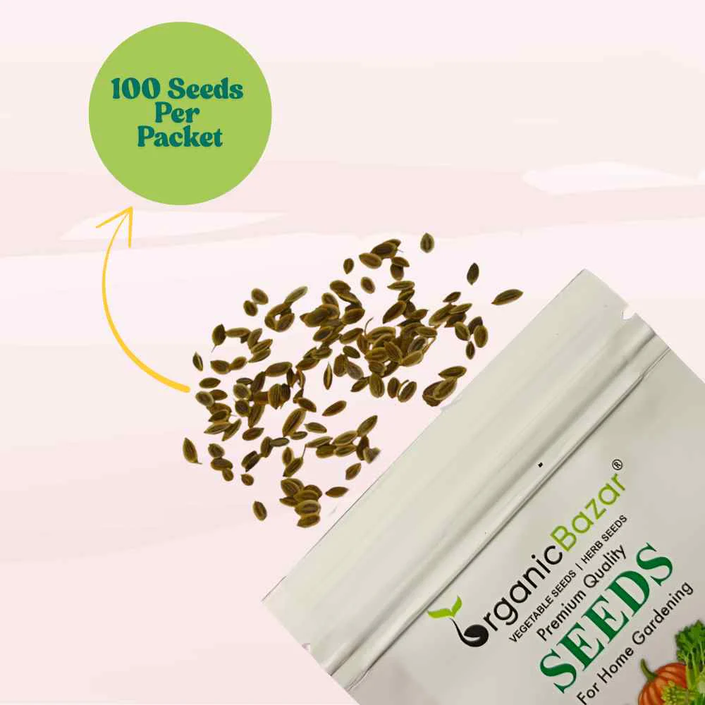 Dill Seeds - 100 Seeds (डिल के बीज) - Image 3