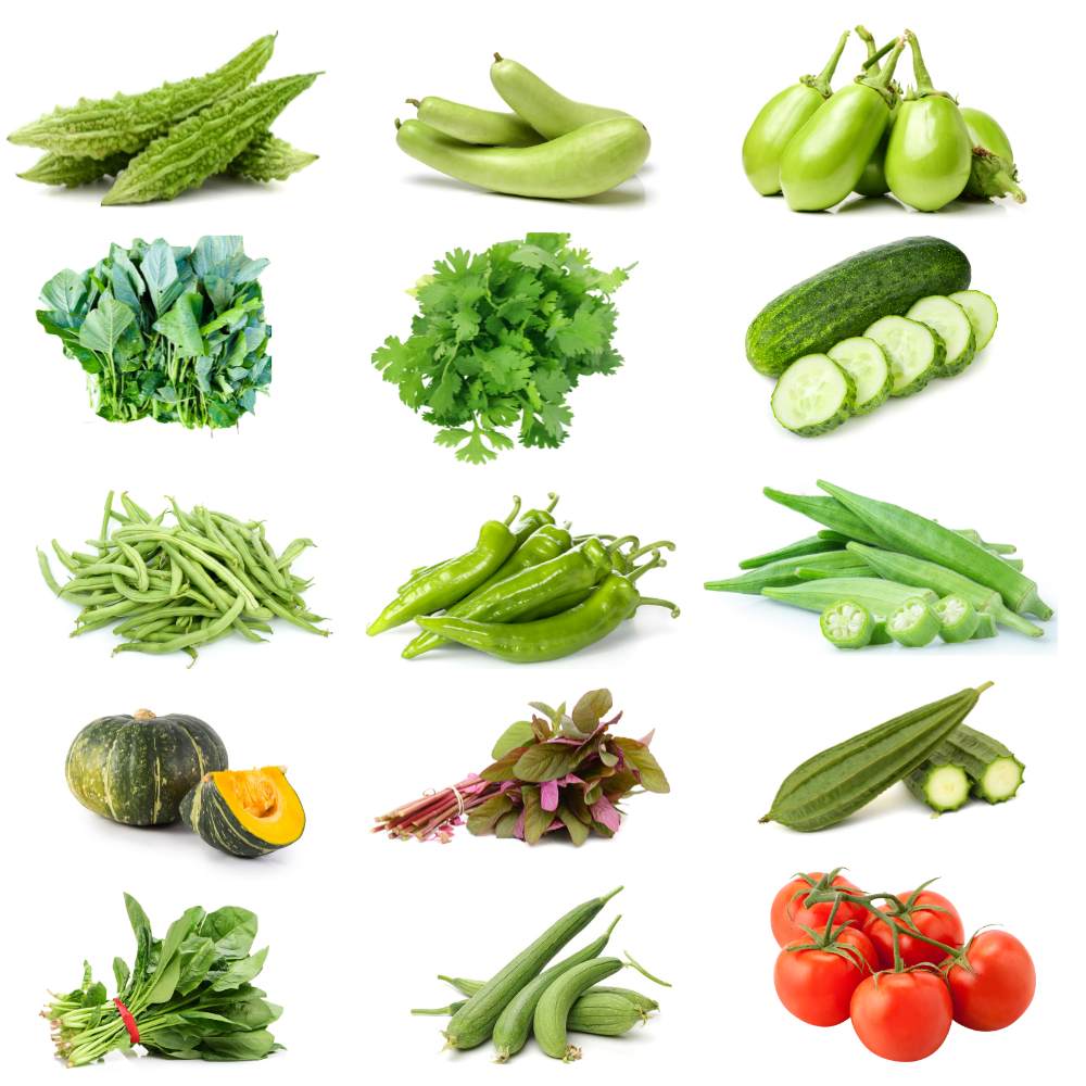 15 Easy To Grow Summer Vegetables Seeds Kit For Home Garden - Image 2