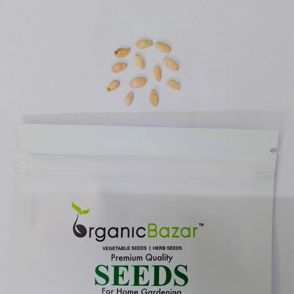 Foot kachri Seeds (कचरी के बीज) - 12 Seeds - Image 5
