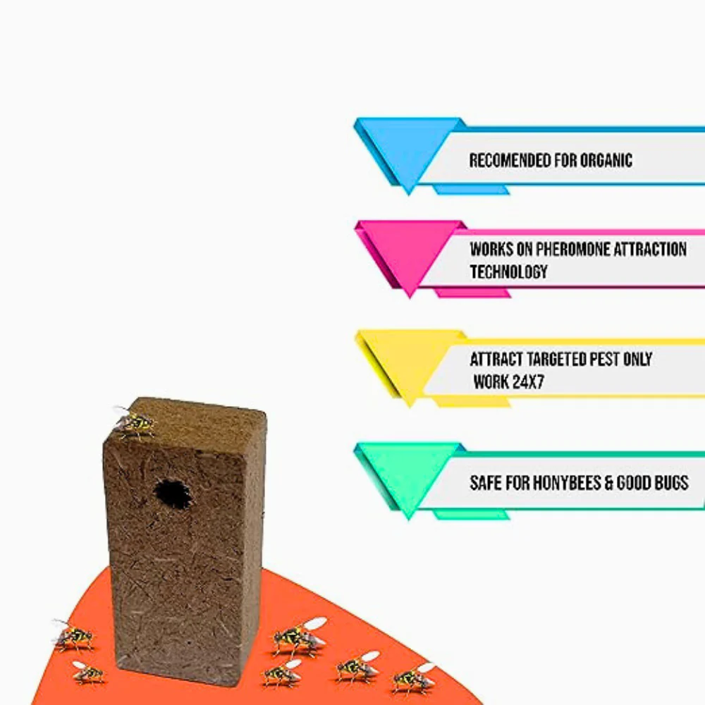 Fruit Fly Trap With Pheromone Lure For Organic Fruits Gardening | Eco-Friendly Pest Control for Mango, Guava, Papaya & All Fruit Crops - Image 5