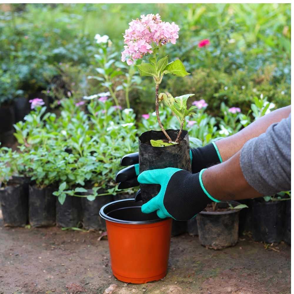 Garden Gloves with Claws for Digging & Planting (Unisex, Green) - Image 2