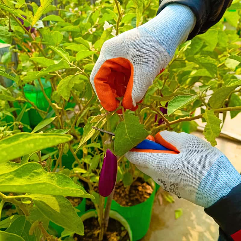 Gardening Gloves for Men and Women - Image 3